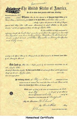 10890 MLE Land Doc