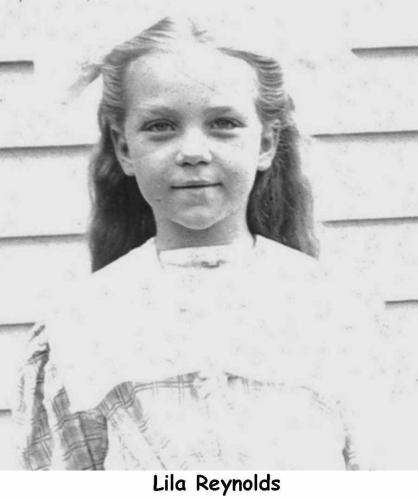70190 Reynolds Lila pic