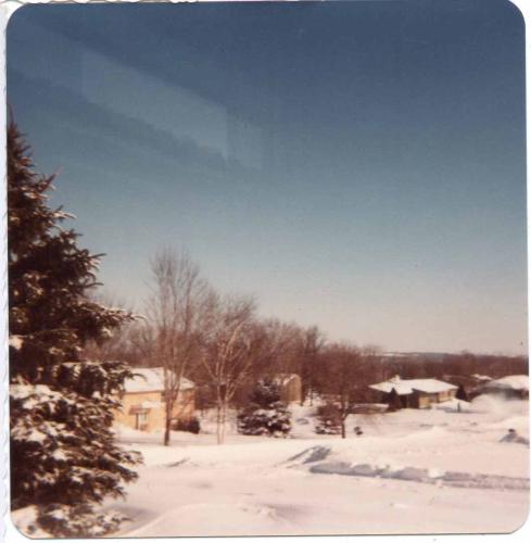 View-from-front-window-of-Ruth-Erdman s-house