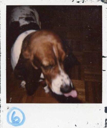 Walter