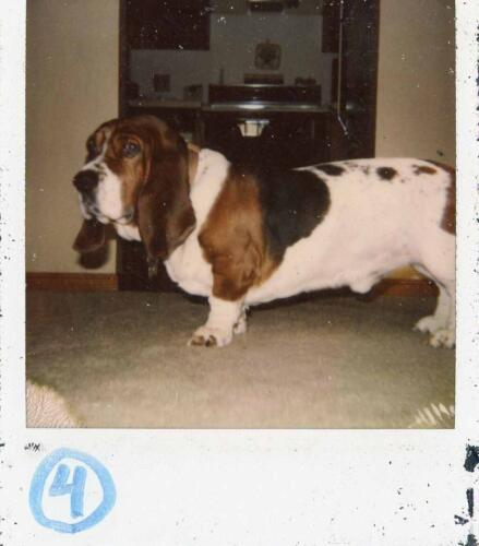 Walter