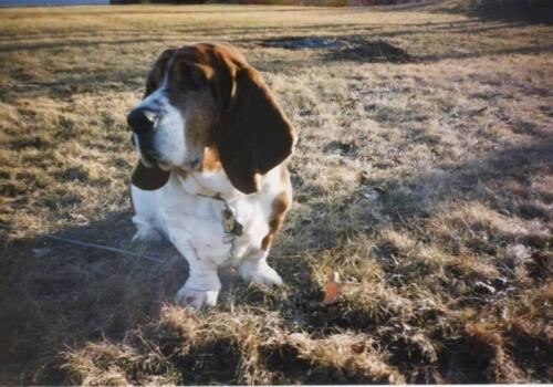 Walter