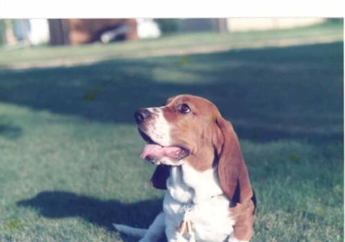Walter