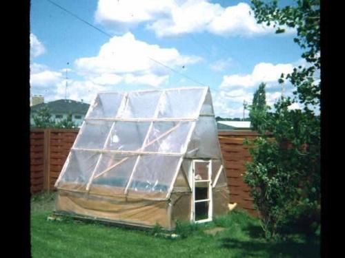 Greenhouse #1